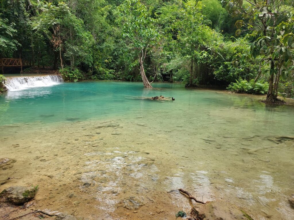 Kuang Si waterfall 7