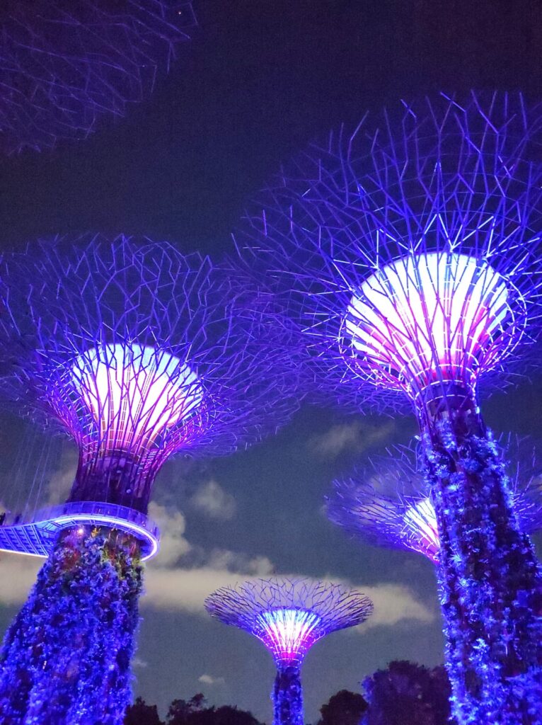 Singapore 3