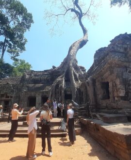 Cambodia