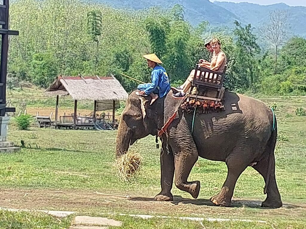 Elephant camp Laos 2