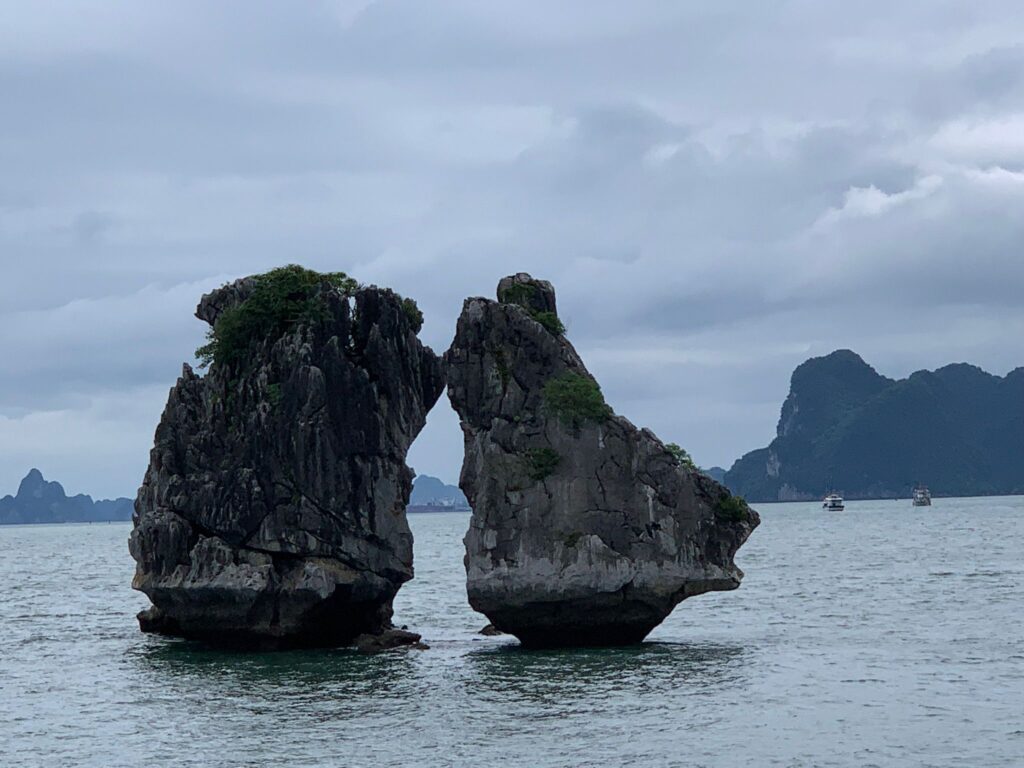 Halong Nuria 3