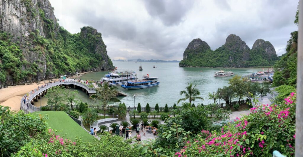 Halong Nuria 6